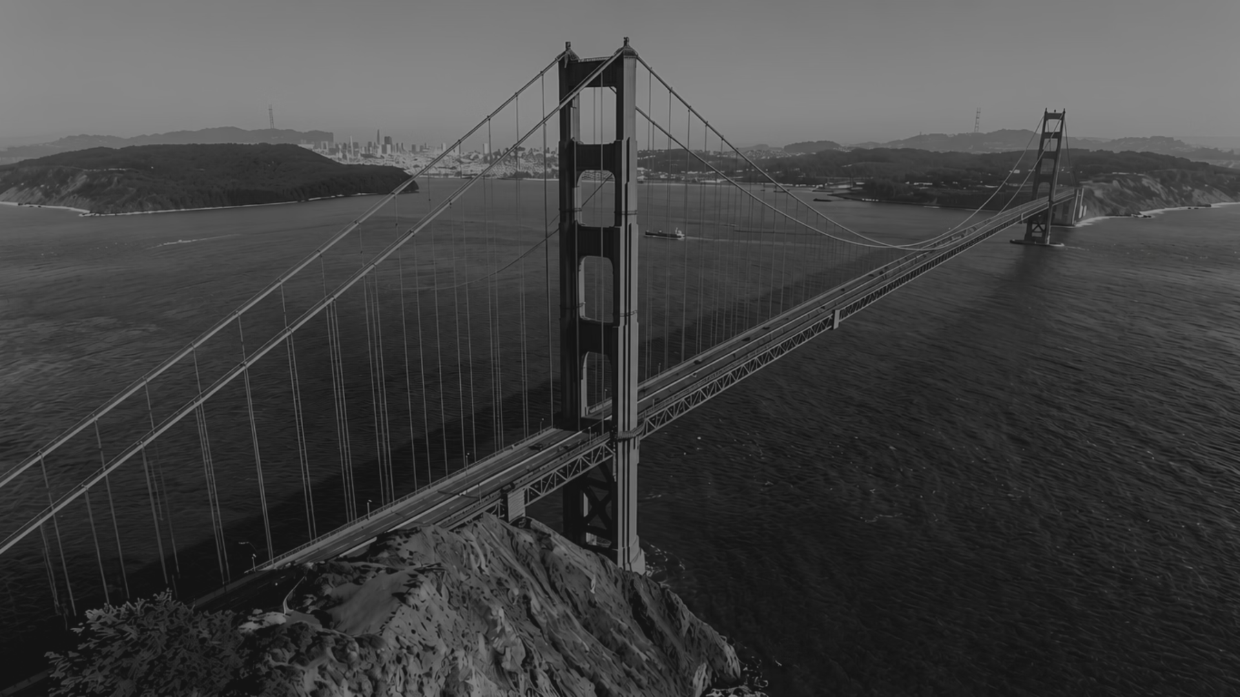 Product and Portfolio Architecture